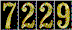 Hit Counter